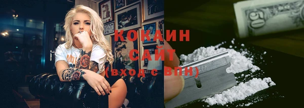стаф Волоколамск