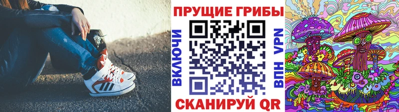 магазин    Калуга  Псилоцибиновые грибы GOLDEN TEACHER 