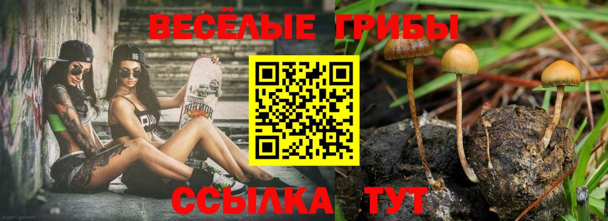 купить наркотики сайты  Вход с VPN  Калуга  Псилоцибиновые грибы GOLDEN TEACHER 